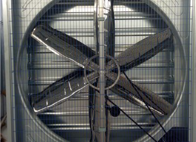 點擊查看詳細信息<br>標題：Heavy Hammer Type Animal Husbandry Fan 閱讀次數(shù)：1559