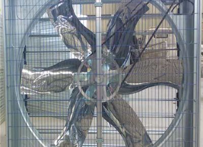 點擊查看詳細信息<br>標題：Push Pull Negative Pressure Fan 閱讀次數(shù)：1457