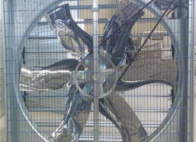 點(diǎn)擊查看詳細(xì)信息<br>標(biāo)題：Push Pull Type Animal Husbandry Fan 閱讀次數(shù)：2149